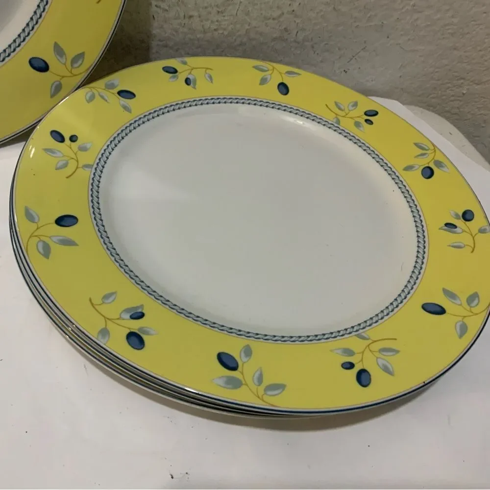 Set of 4 Royal Doulton blueberry 10.25